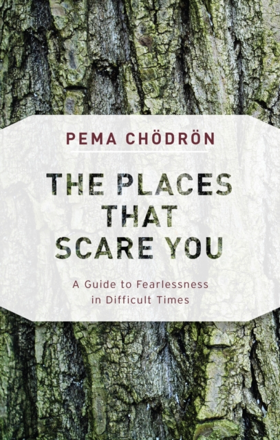 Book Cover for Places That Scare You by Pema Chodron