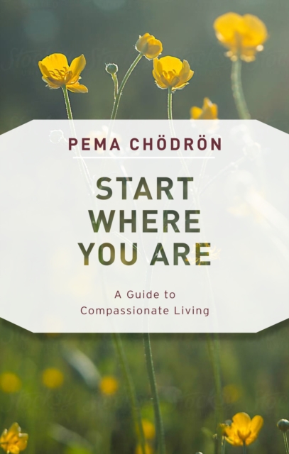 Book Cover for Start Where You Are by Pema Chodron