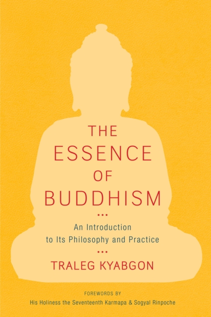 Book Cover for Essence of Buddhism by Traleg Kyabgon