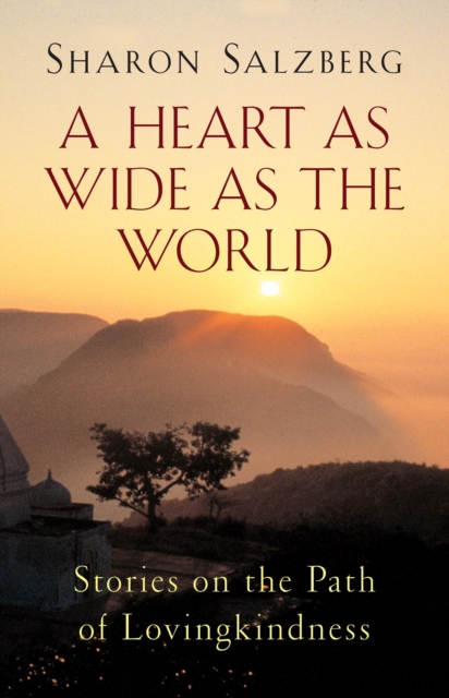 Book Cover for Heart as Wide as the World by Sharon Salzberg