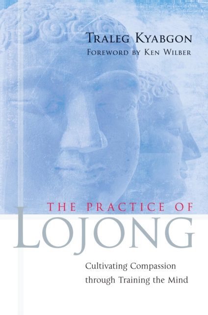 Book Cover for Practice of Lojong by Traleg Kyabgon