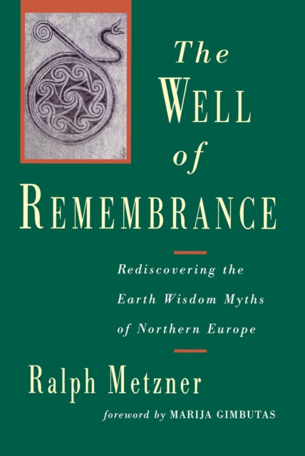 Book Cover for Well of Remembrance by Ralph Metzner