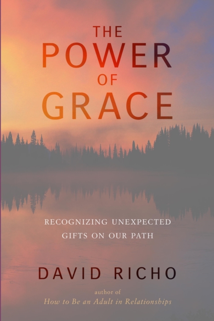 Book Cover for Power of Grace by Richo, David