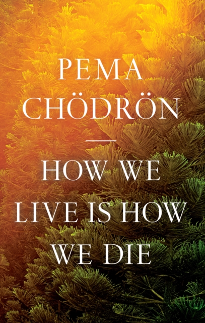 Book Cover for How We Live Is How We Die by Pema Chodron