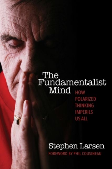 Book Cover for Fundamentalist Mind by Stephen Larsen