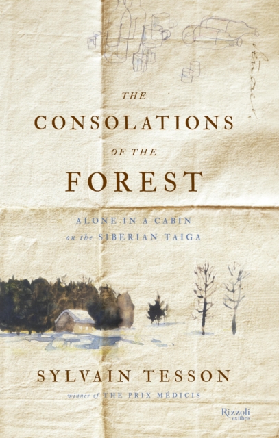 Book Cover for Consolations of the Forest by Sylvain Tesson