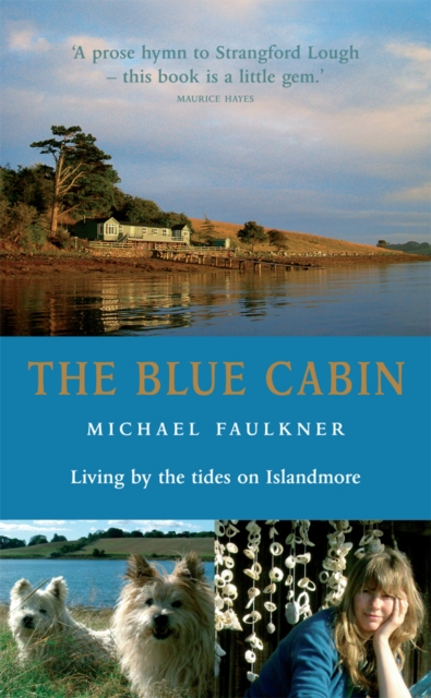 Book Cover for Blue Cabin by Michael Faulkner