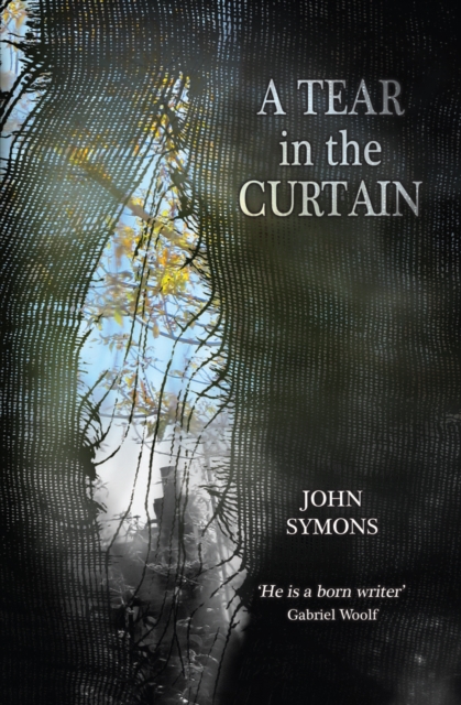 Book Cover for Ter in the Curtin by Symons, John