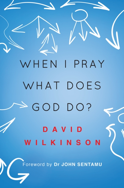 Book Cover for When I Pray, What Does God Do? by David Wilkinson