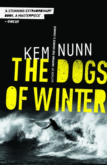 Book Cover for Dogs Of Winter by Nunn, Kem