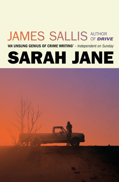 Book Cover for Sarah Jane by James Sallis