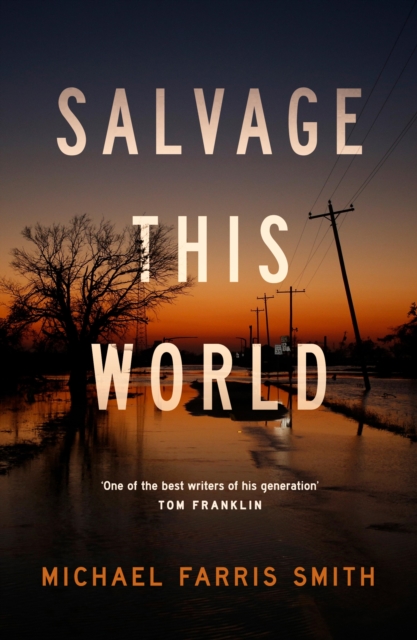 Book Cover for Salvage This World by Michael Farris Smith