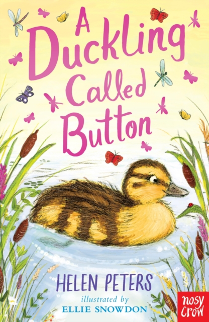 Book Cover for Duckling Called Button by Peters, Helen