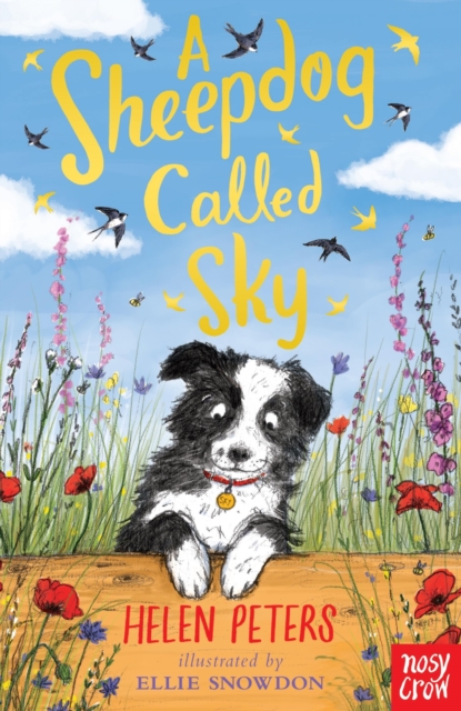 Book Cover for Sheepdog Called Sky by Peters, Helen