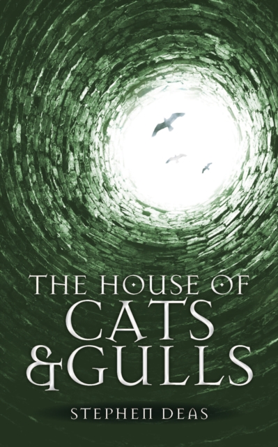 Book Cover for House of Cats and Gulls by Stephen Deas