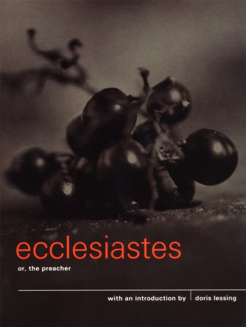 Book Cover for Ecclesiastes or, The Preacher by Doris Lessing