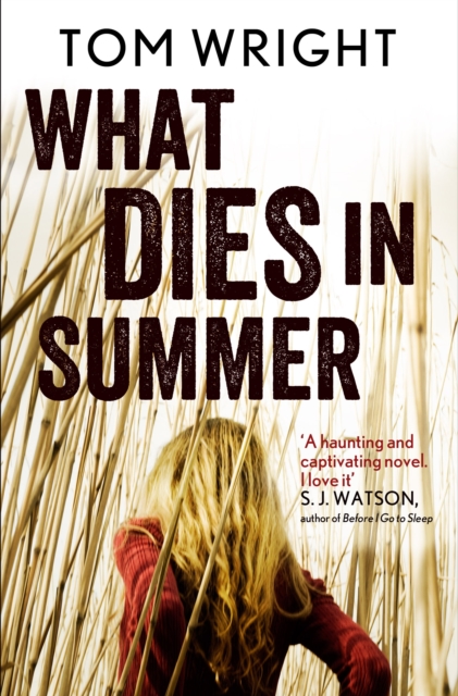 Book Cover for What Dies in Summer by Tom Wright
