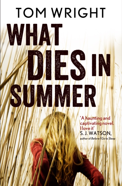 Book Cover for What Dies in Summer by Wright, Tom