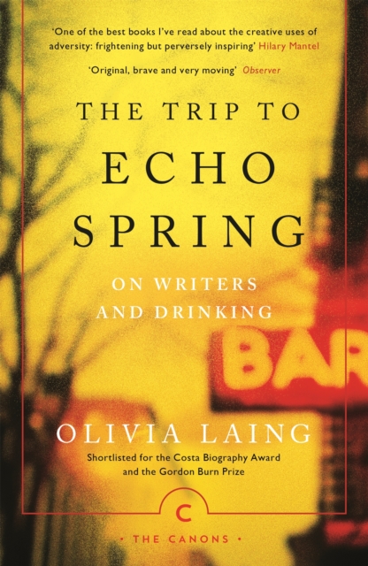 Book Cover for Trip to Echo Spring by Olivia Laing