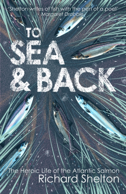 Book Cover for To Sea & Back by Richard Shelton