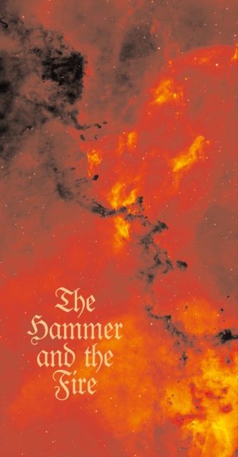 Book Cover for Hammer and the Fire by Henry Marsh