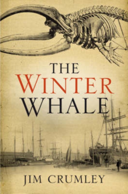 Book Cover for Winter Whale by Crumley, Jim