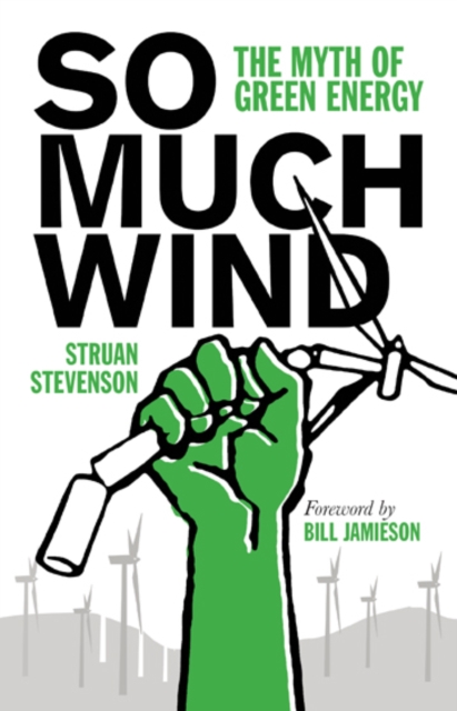 Book Cover for So Much Wind by Struan Stevenson