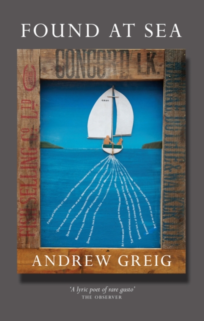 Book Cover for Found at Sea by Greig, Andrew