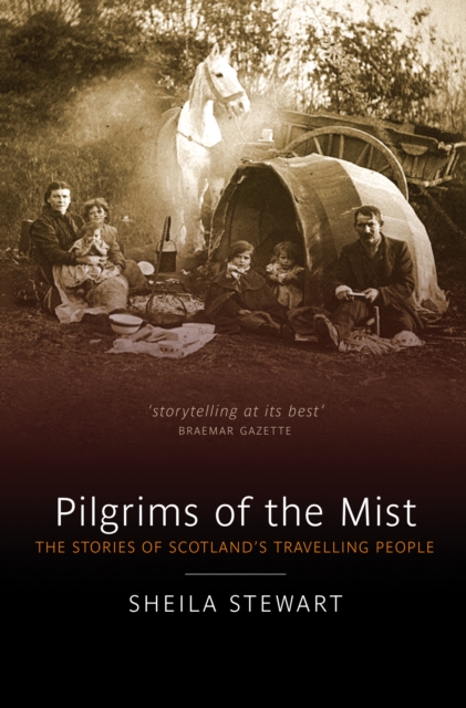 Book Cover for Pilgrims of the Mist by Stewart, Sheila