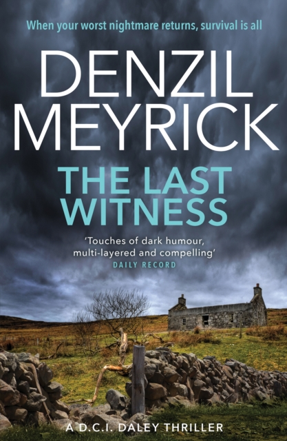 Book Cover for Last Witness by Denzil Meyrick