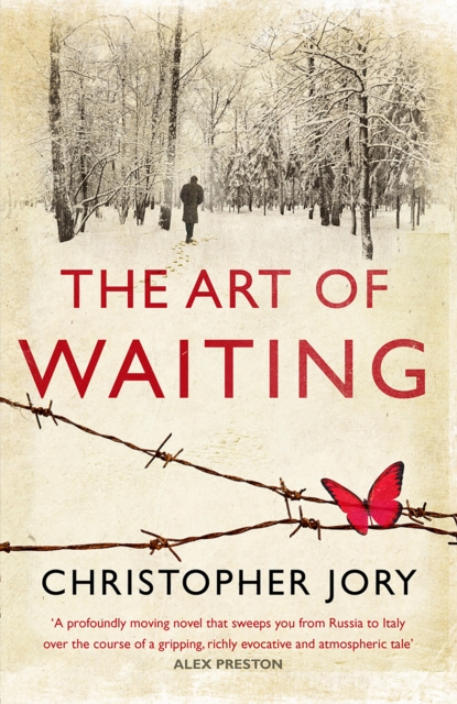 Book Cover for Art of Waiting by Christopher Jory