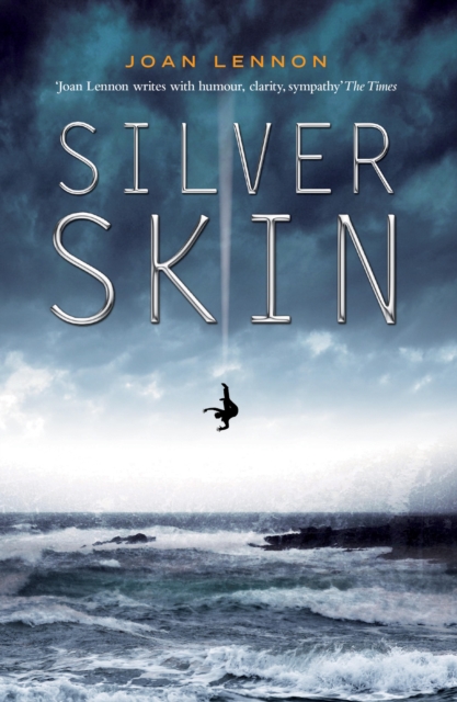 Book Cover for Silver Skin by Joan Lennon