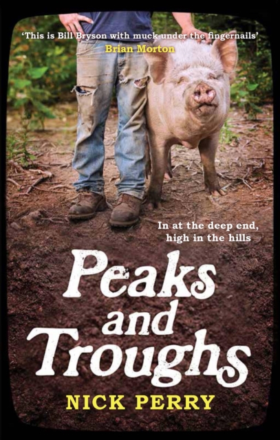 Book Cover for Peaks and Troughs by Nick Perry