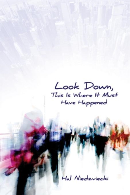 Book Cover for Look Down, This is Where It Must Have Happened by Hal Niedzviecki