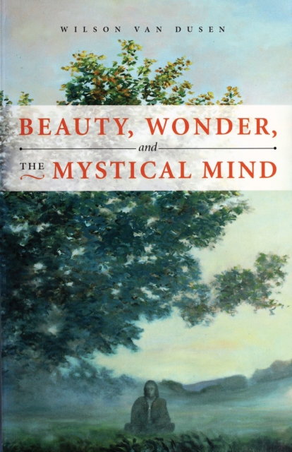 Book Cover for BEAUTY, WONDER, AND THE MYSTICAL MIND by VAN DUSEN WILSON VAN DUSEN