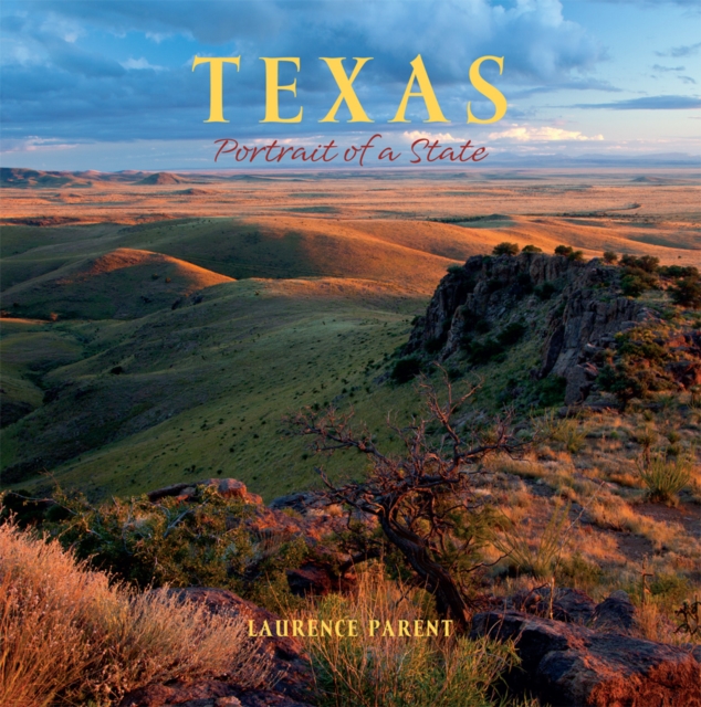 Book Cover for Texas by Laurence Parent