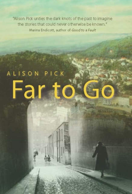 Book Cover for Far to Go by Alison Pick