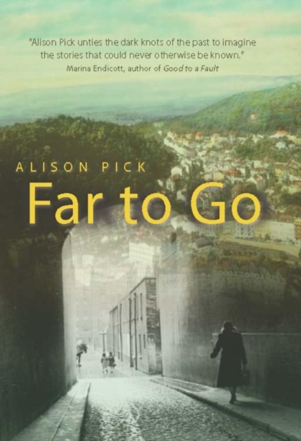 Book Cover for Far to Go by Pick, Alison