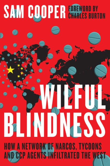 Book Cover for Wilful Blindness by Cooper, Sam