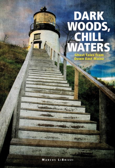 Book Cover for Dark Woods, Chill Waters by Marcus LiBrizzi