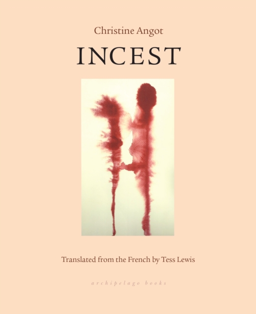 Book Cover for Incest by Christine Angot