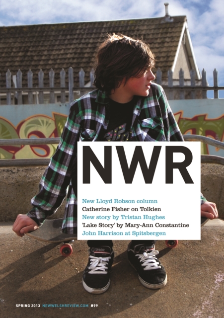 Book Cover for NEW WELSH REVIEW SPRING 2013 ISSUE 99 by Trezise, Rachel