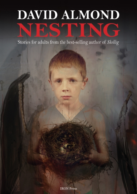 Book Cover for Nesting by David Almond