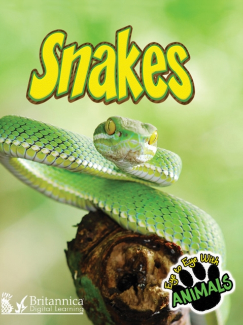Book Cover for Snakes by Greve, Tom