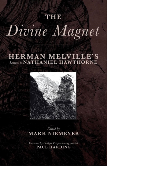 Book Cover for Divine Magnet by Herman Melville