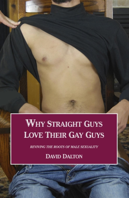 Book Cover for Why Straight Guys Love Their Gay Guys by David Dalton