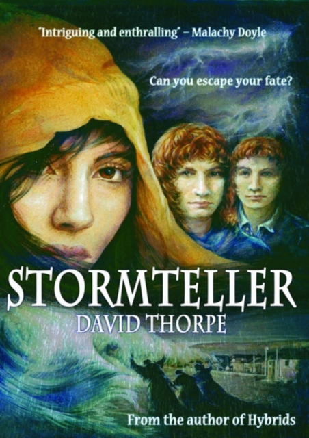 Book Cover for Stormteller by David Thorpe