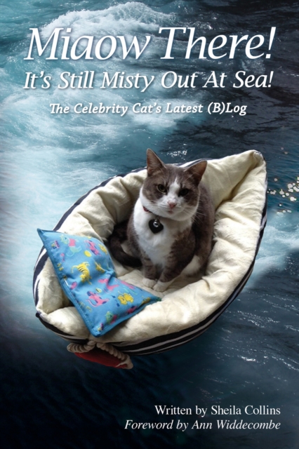 Book Cover for Miaow There! It's Still Misty Out At Sea! by Sheila Collins