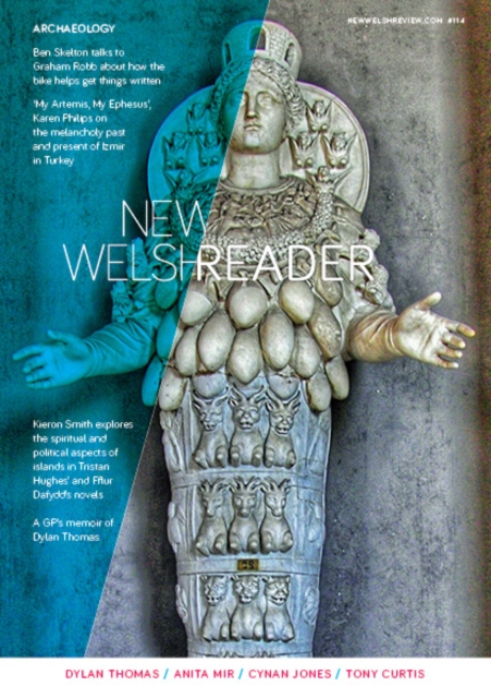 Book Cover for New Welsh Review  114 by Cynan Jones