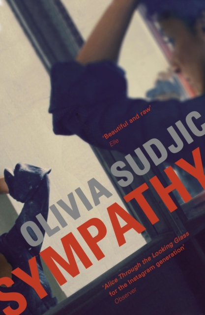 Book Cover for Sympathy by Sudjic, Olivia